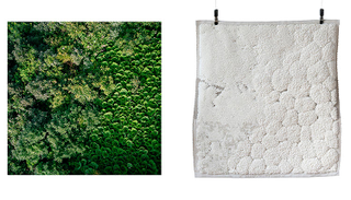 Illustration for article titled Turn Google Earth Images Into All-Terrain Area Rugs